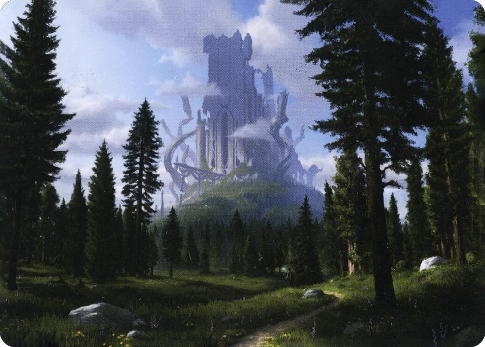 Image for Forest (61/81) Art Card (61) [Art Series: Adventures in the Forgotten Realms]