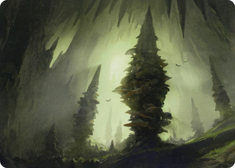 Image for Forest (55/81) Art Card (55) [Art Series: Adventures in the Forgotten Realms]