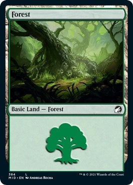 Image for Forest (384) (384) [Innistrad: Midnight Hunt]