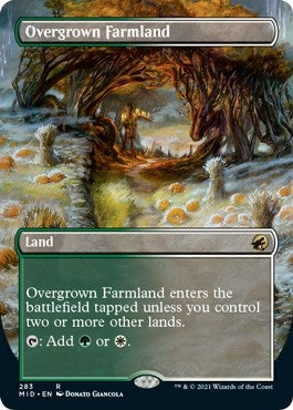 Image for Overgrown Farmland (Borderless) (283) [Innistrad: Midnight Hunt]