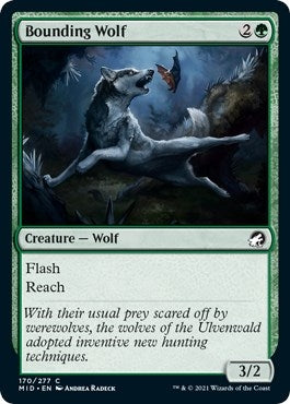 Image for Bounding Wolf (170) [Innistrad: Midnight Hunt]