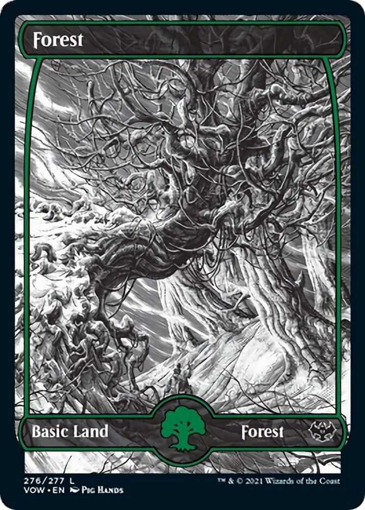 Image for Forest (276) (276) [Innistrad: Crimson Vow]