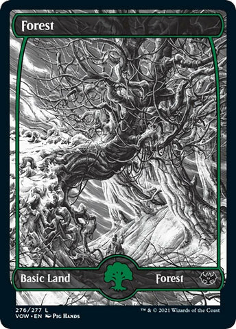 Image for Forest (276) (276) [Innistrad: Crimson Vow]