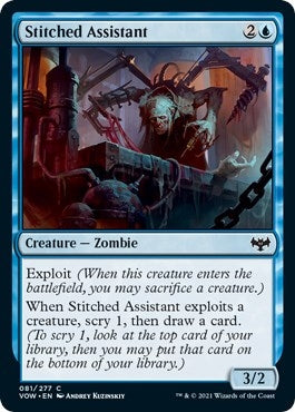 Image for Stitched Assistant (81) [Innistrad: Crimson Vow]