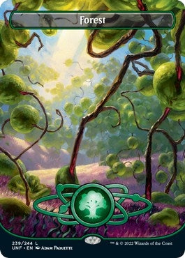 Image for Forest (239) (Borderless) (239) [Unfinity]