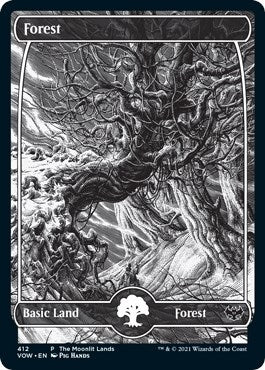 Image for Forest (Moonlit Land) (Foil Etched) (412) [WPN & Gateway Promos]