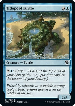 Image for Tidepool Turtle (69) [Dominaria United]