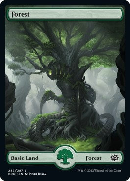 Image for Forest (287) - Full Art (287) [The Brothers' War]