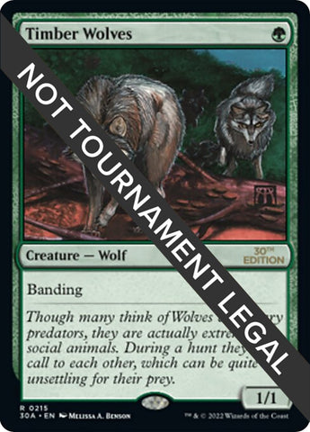 Image for Timber Wolves (215) - Magic: The Gathering