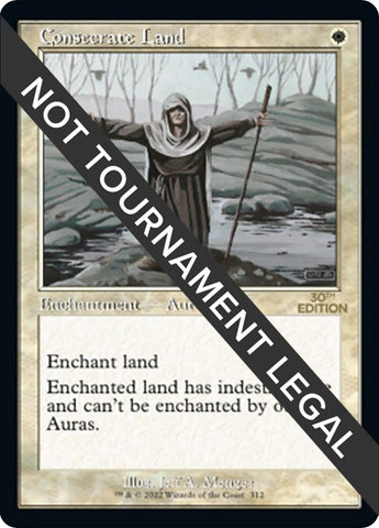 Image for Consecrate Land (Retro Frame) (312) (30A)