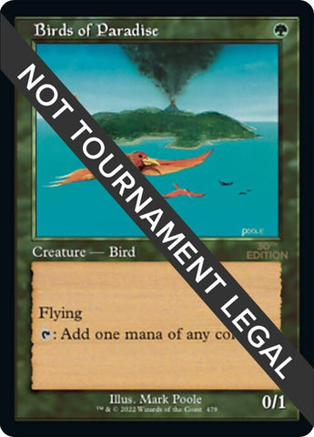 Birds of Paradise (Retro Frame) (479) (30A)