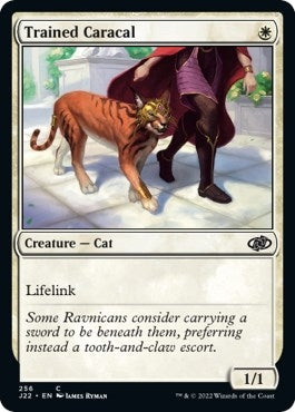 Image for Trained Caracal (256) [Jumpstart 2022]