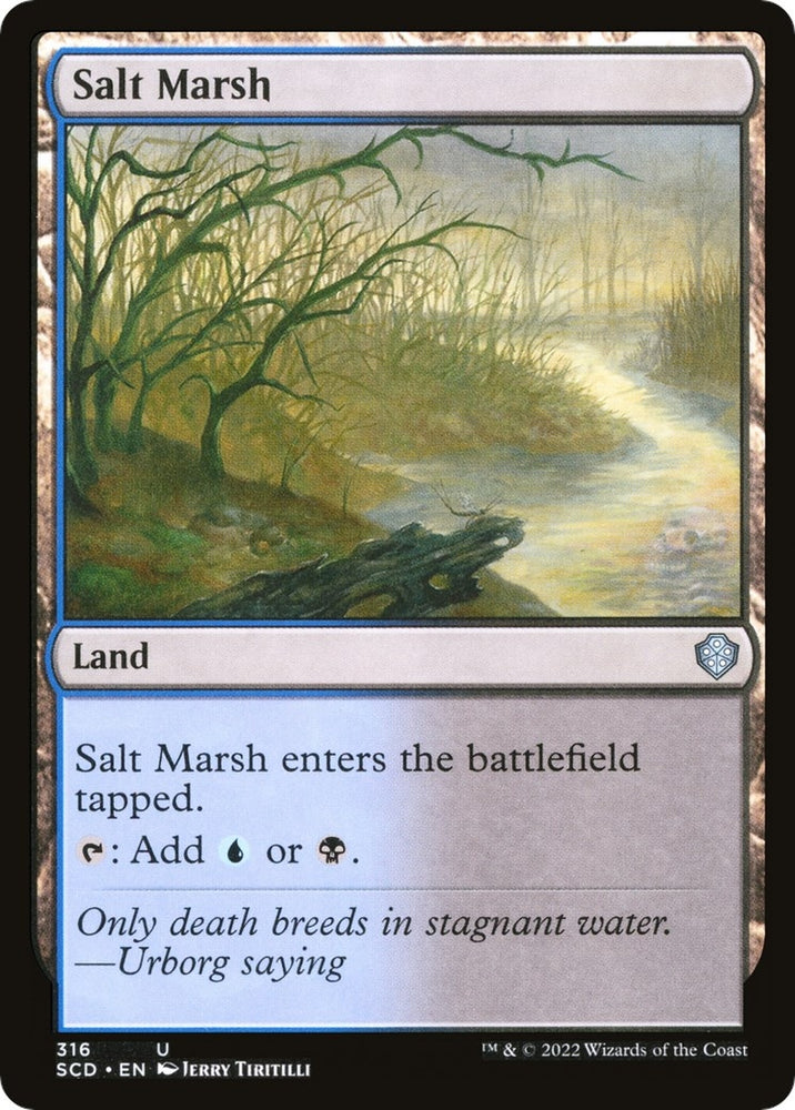 Image for Salt Marsh (316) [Starter Commander Decks]
