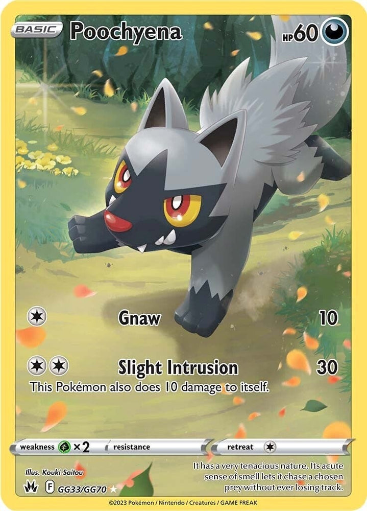 Image for Poochyena (GG33/GG70) [Crown Zenith: Galarian Gallery]