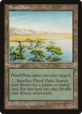 Image for Flood Plain [Mirage]