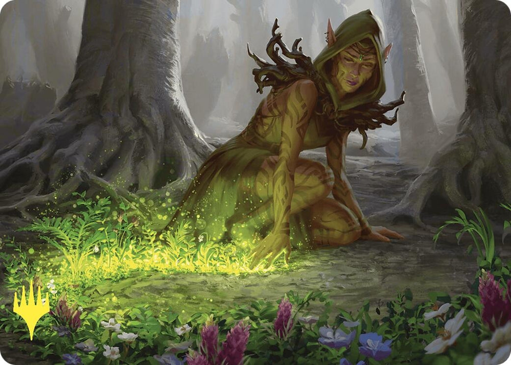 Image for Skyshroud Claim Art Card (Gold-Stamped) (25) [ASCMM]