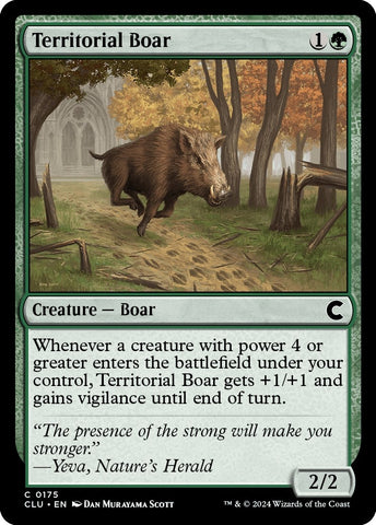 Image for Territorial Boar (175) [Ravnica: Clue Edition]