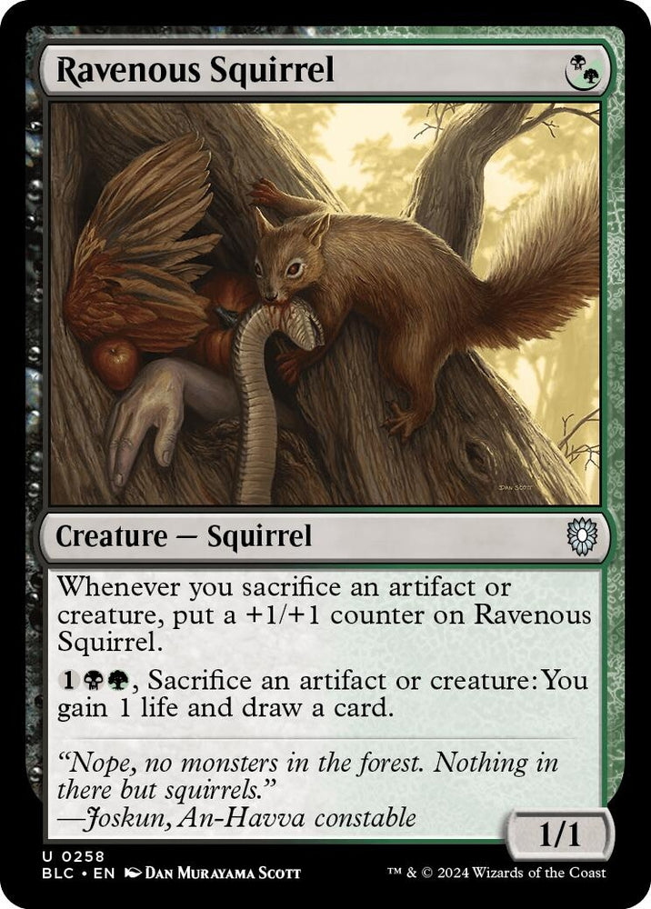 Image for Ravenous Squirrel (258) [Commander: Bloomburrow]