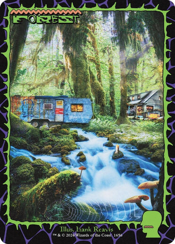 Image for Forest (1656) (1656) [Secret Lair Drop Series]