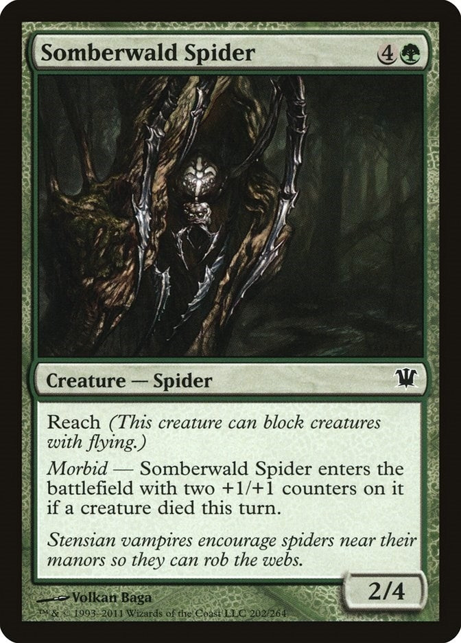 Image for Somberwald Spider (202) [Innistrad]