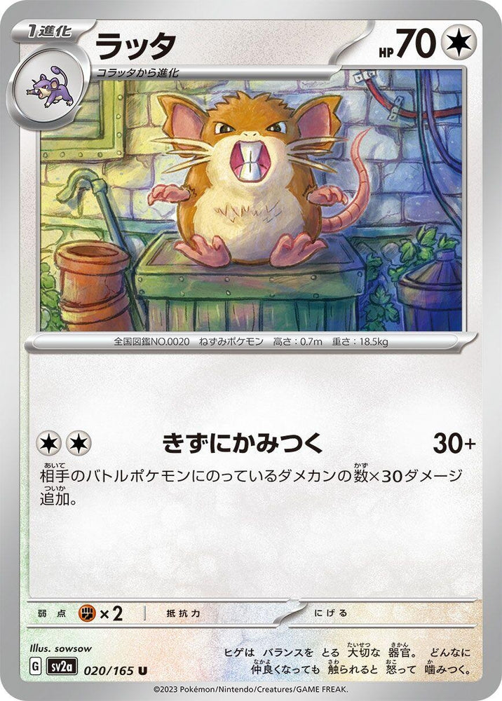 Raticate (020/165) (SV2a)