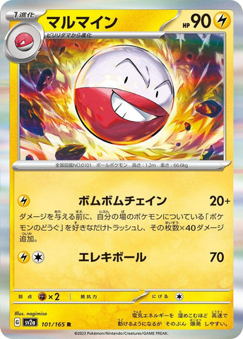 Electrode (101/165) (SV2a)
