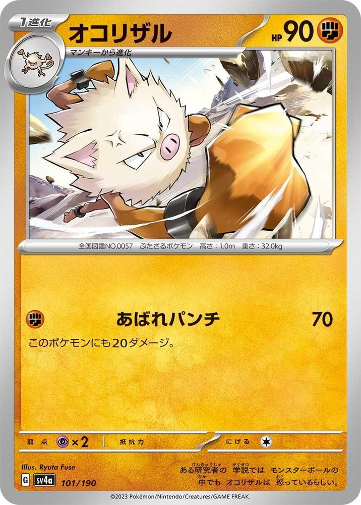 Image for Primeape - Pokemon Japan