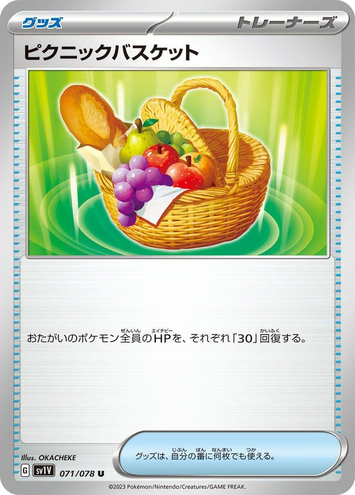 Picnic Basket (71) (SV1V)