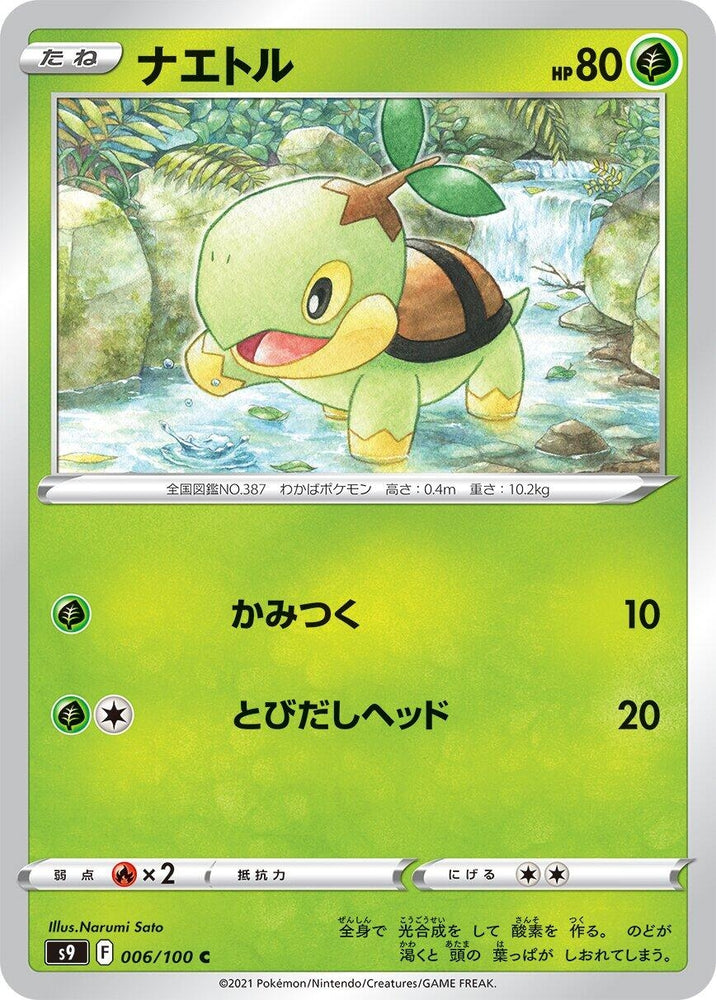Image for Turtwig (006/100) (S9) - Pokemon Japan
