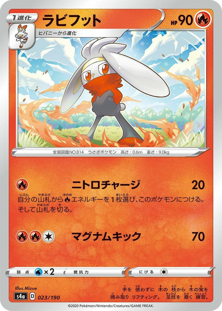 Image for Raboot - Pokemon Japan