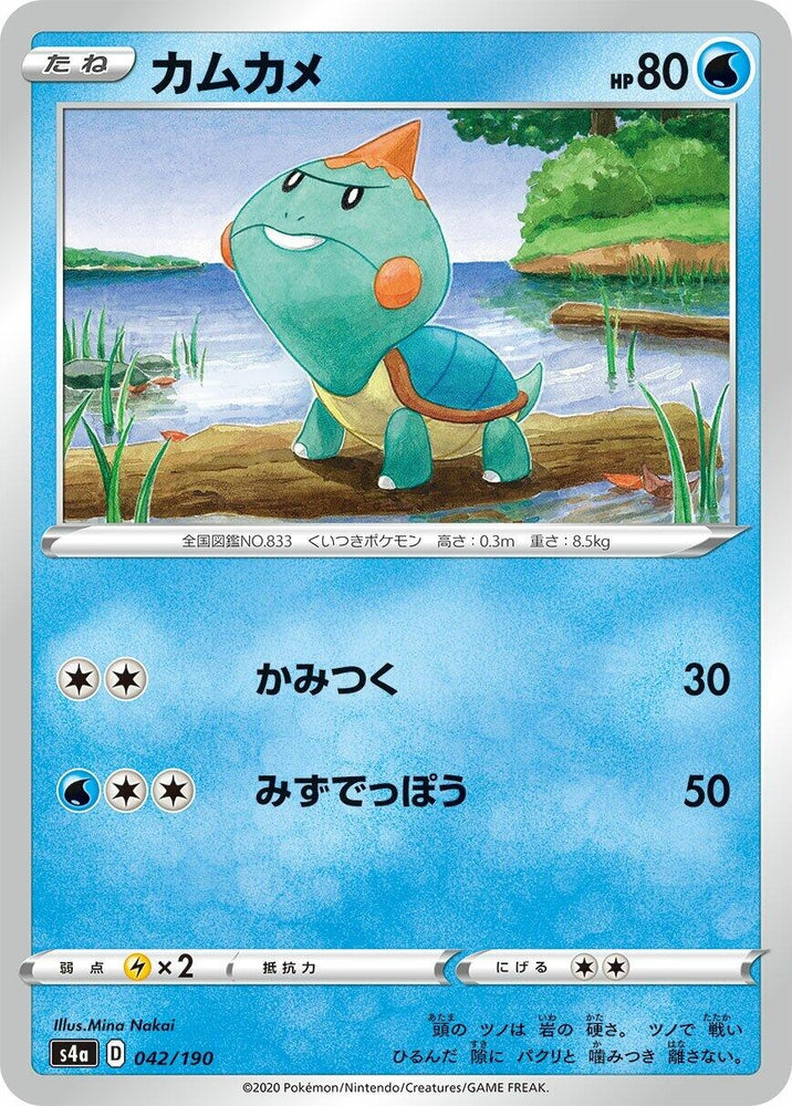 Image for Chewtle - Pokemon Japan