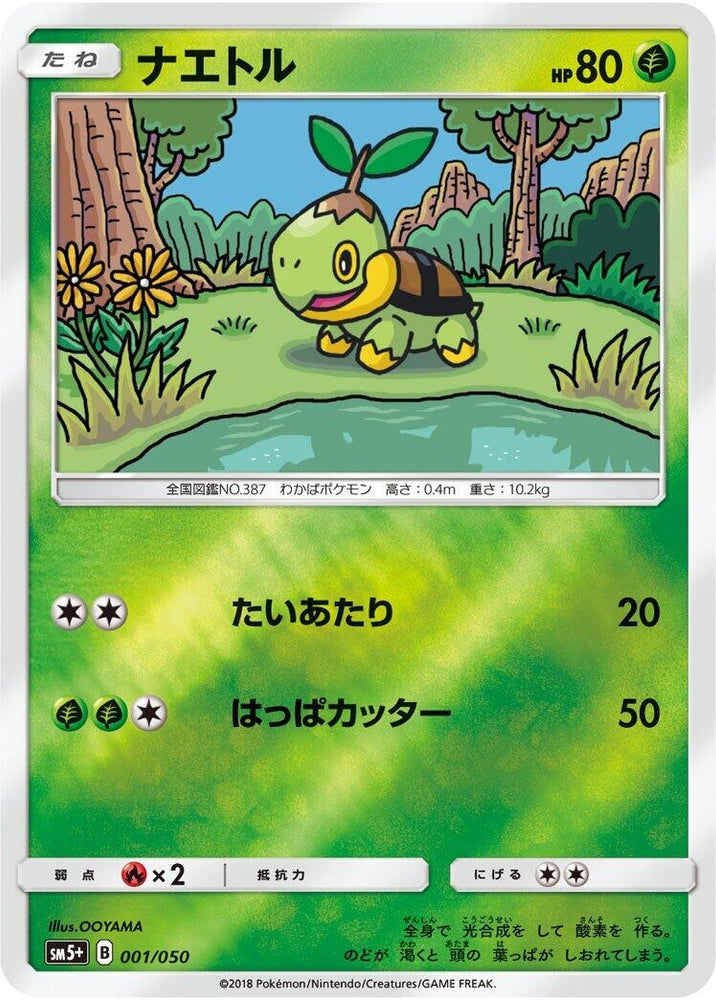 Image for Turtwig - Pokemon Japan
