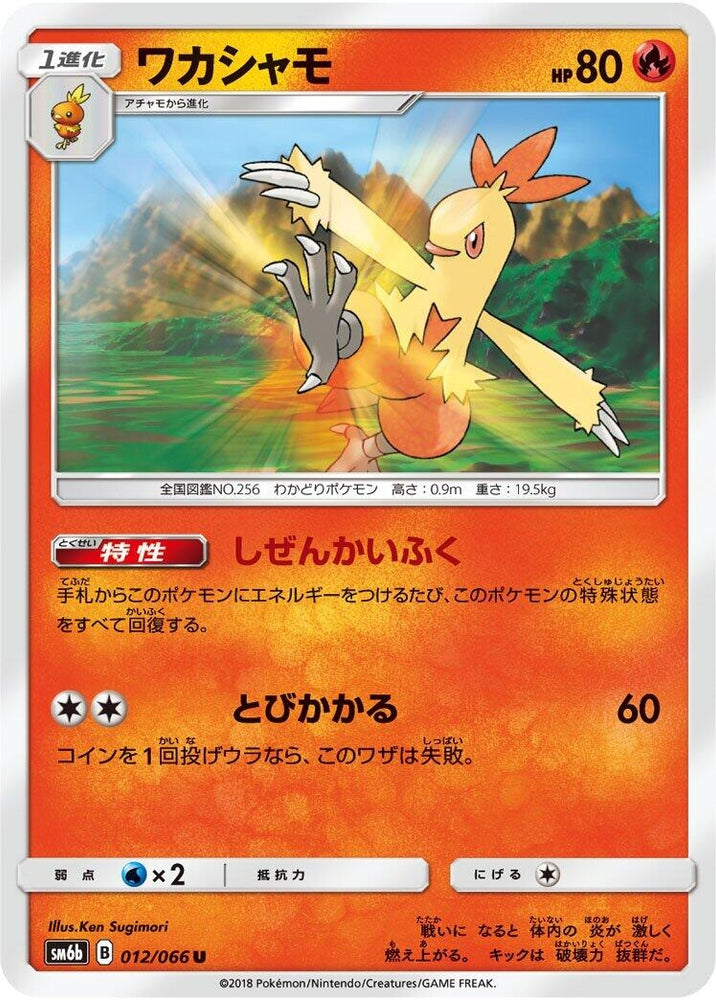 Image for Combusken (012/066) (SM6b) - Pokemon Japan