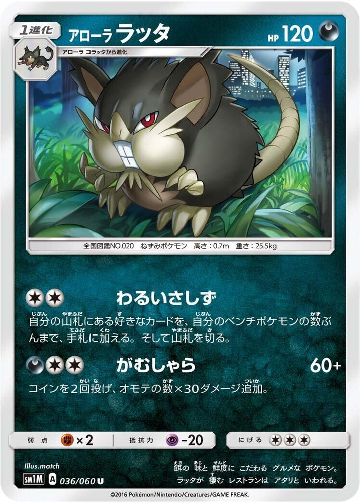 Image for Alolan Raticate (036/060) (SM1M) - Pokemon Japan