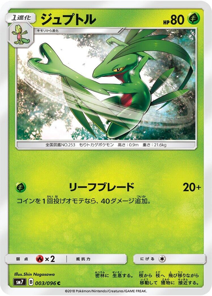 Image for Grovyle (003/096) (SM7) - Pokemon Japan