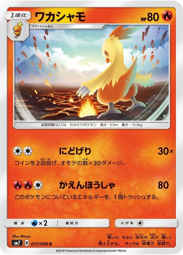 Image for Combusken (017/096) (SM7) - Pokemon Japan