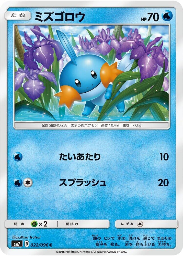 Image for Mudkip (022/096) (SM7) - Pokemon Japan