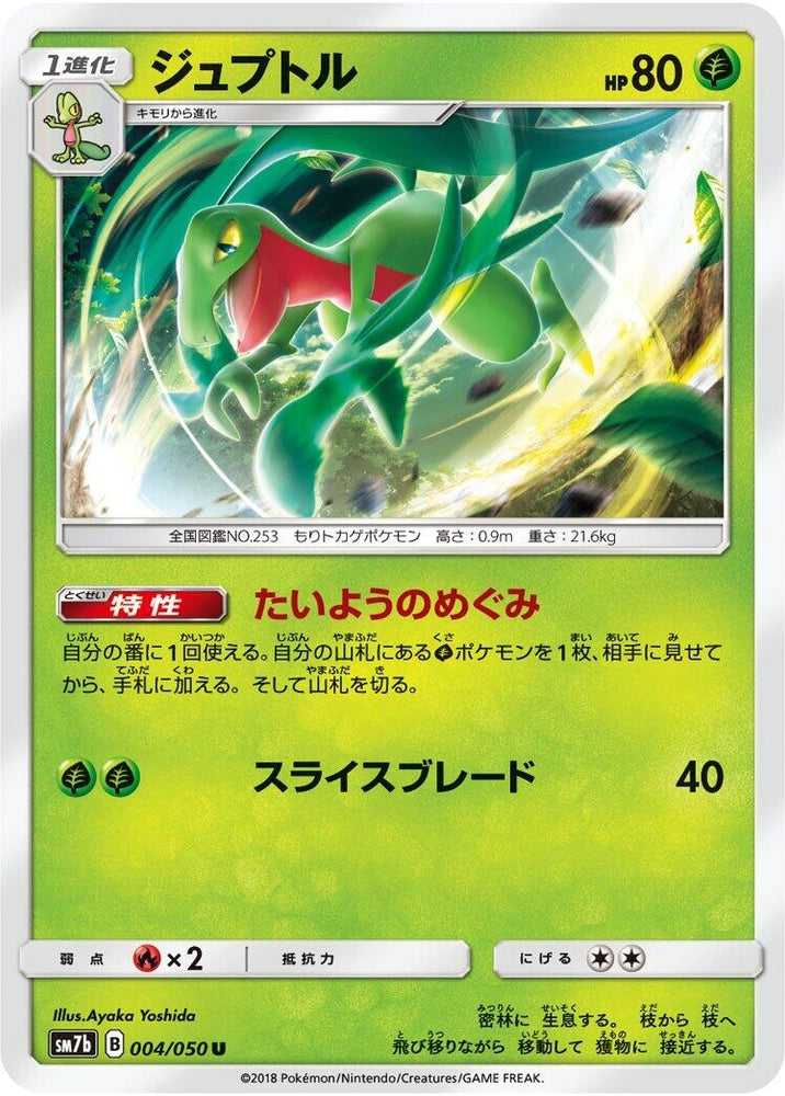Image for Grovyle (004/050) (SM7b) - Pokemon Japan