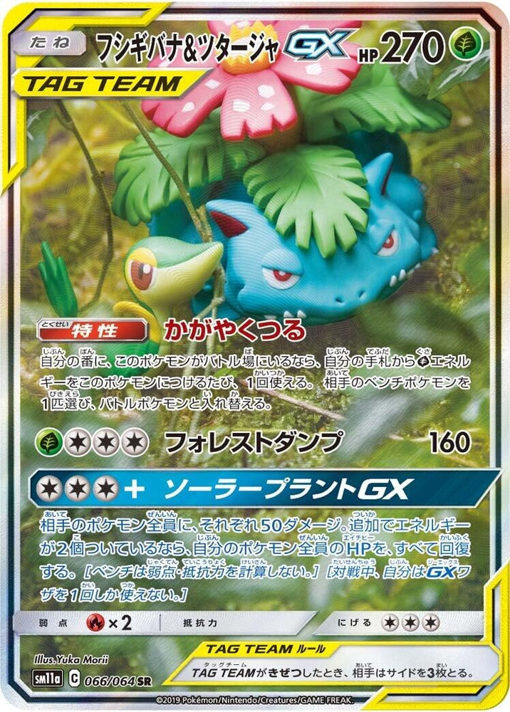 Image for Venusaur & Snivy GX (066/064) (SM11a) - Pokemon Japan