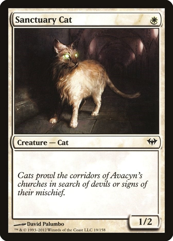 Image for Sanctuary Cat (19) [Dark Ascension]