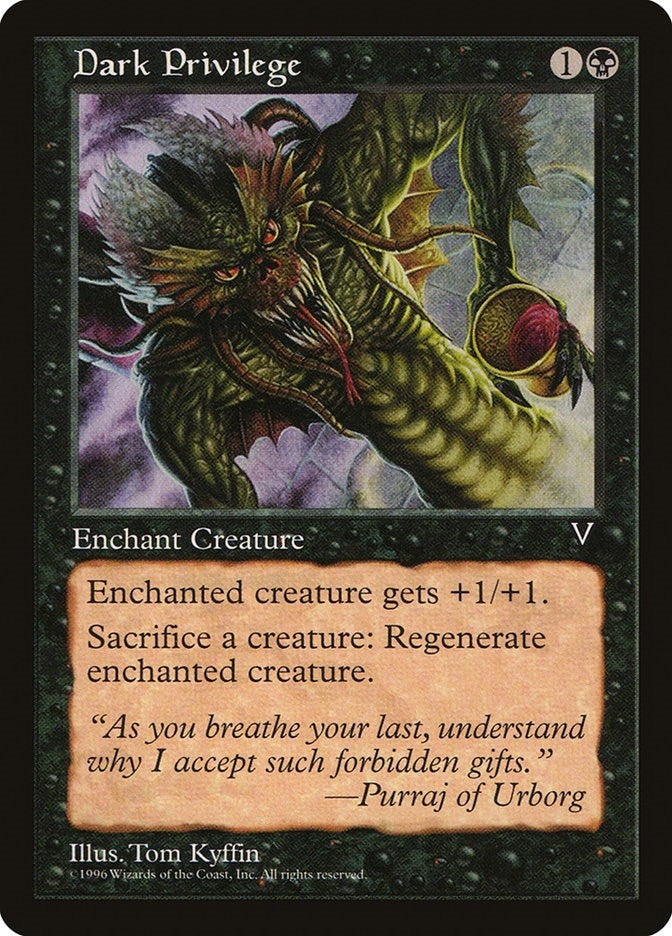Image for Dark Privilege [Visions]