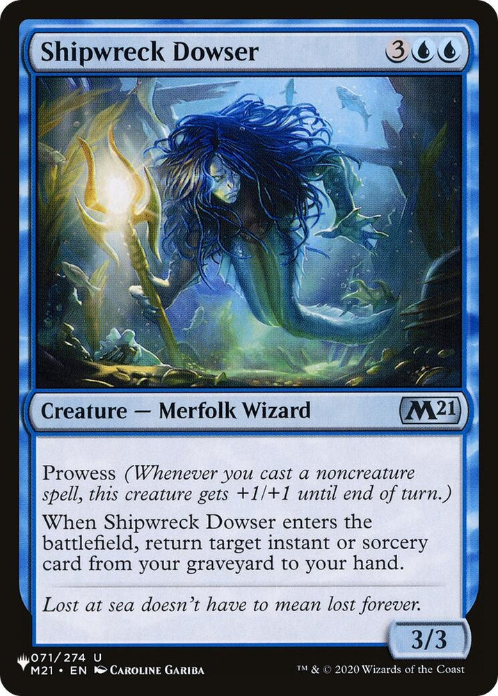 Image for Shipwreck Dowser (71) [The List Reprints]