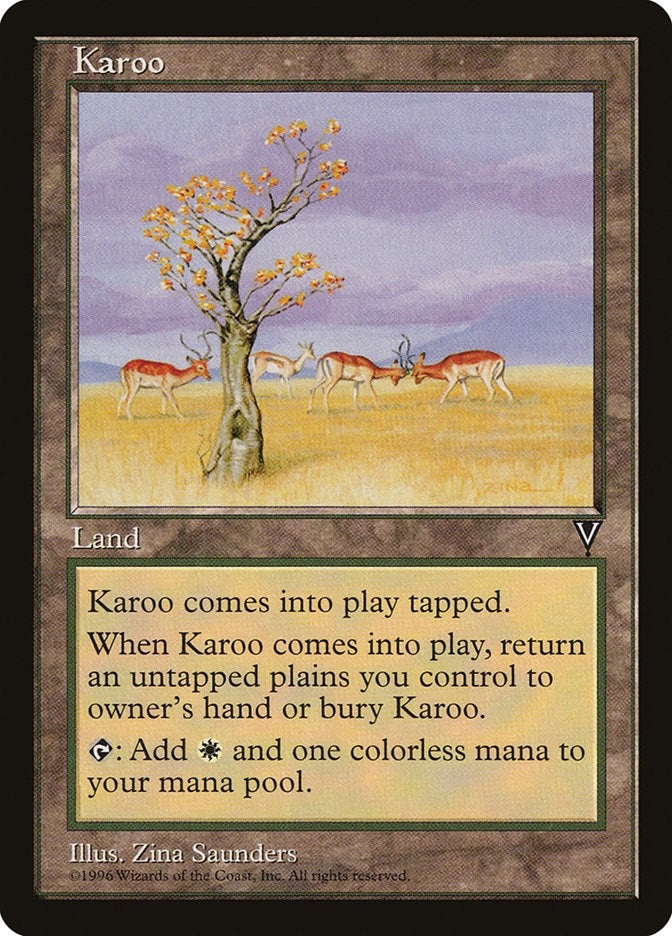 Image for Karoo [Visions]
