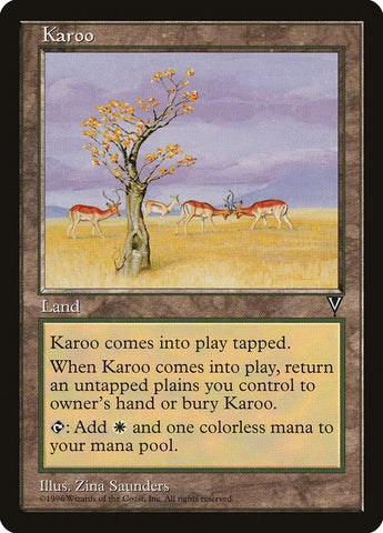 Image for Karoo [Visions]