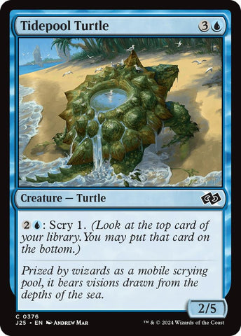 Image for Tidepool Turtle (376) [Foundations Jumpstart]