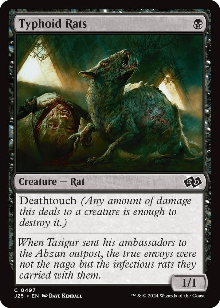 Image for Typhoid Rats (497) [Foundations Jumpstart]