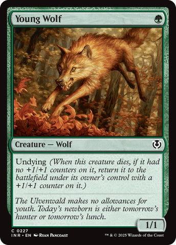 Image for Young Wolf (227) [Innistrad Remastered]