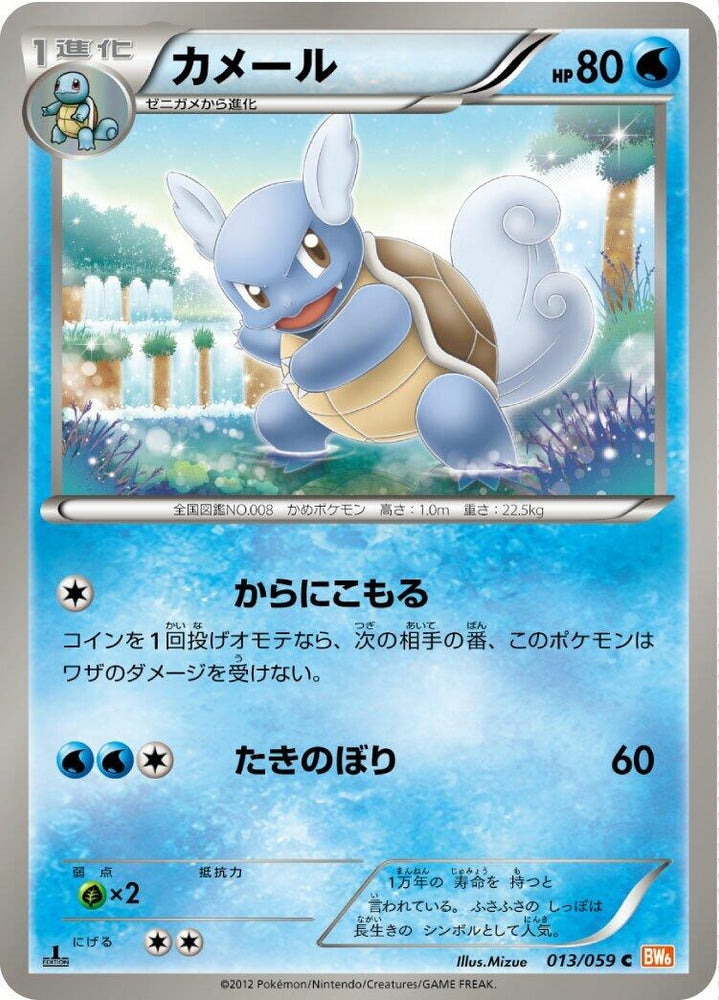 Image for Wartortle (013/059) (BW6) - Pokemon Japan