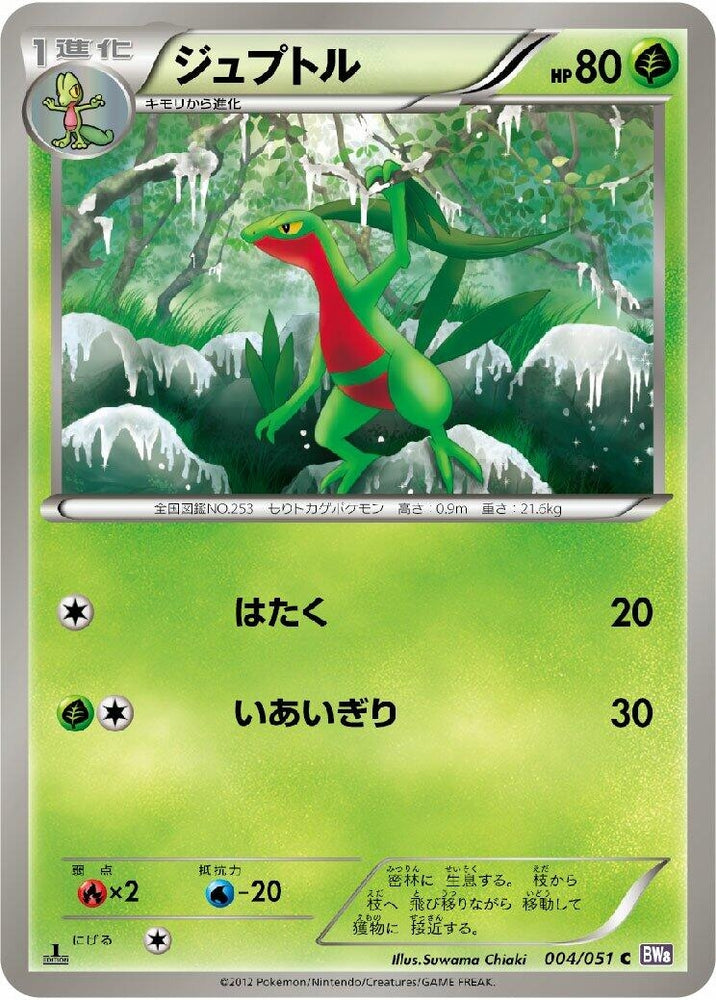 Image for Grovyle (004/051) (BW8) - Pokemon Japan