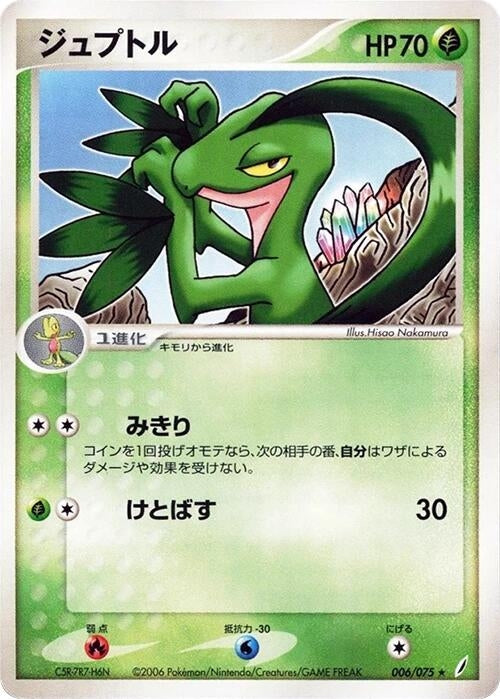 Grovyle (006/075)